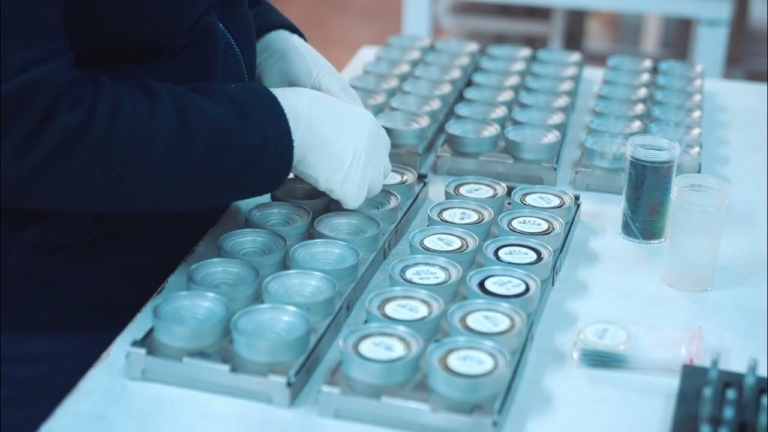 Behind the Data: From Samples to Assays | Terra Metals (ASX: TM1)